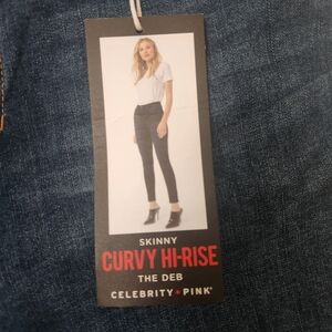 NWT-Celebrity Pink curvy high rise-Plus Size 21/35, distressed